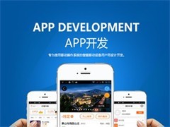 廈門軟件開發(fā)