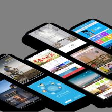  天津國美it貿易有限分公司 主營 手機 電腦及軟件